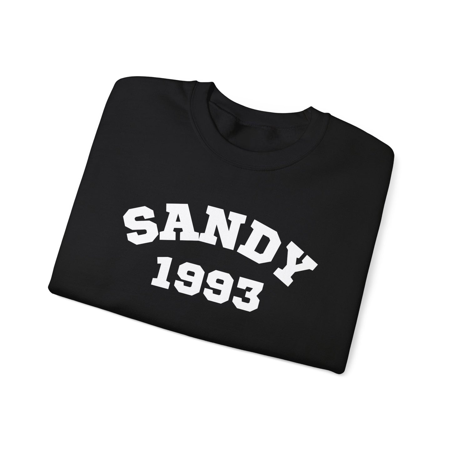Sandy 1993 Sweatshirt