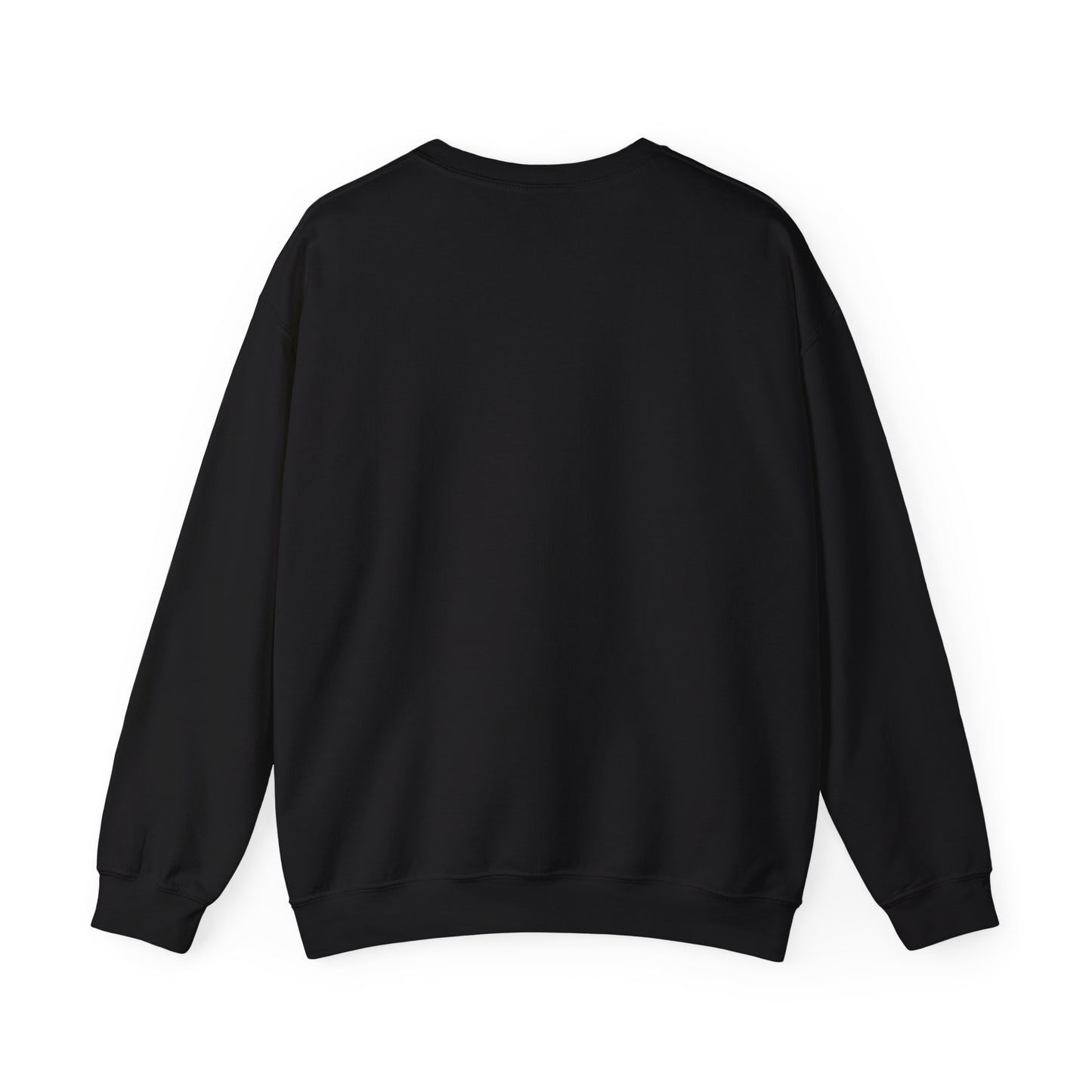 Sandy 1993 Sweatshirt