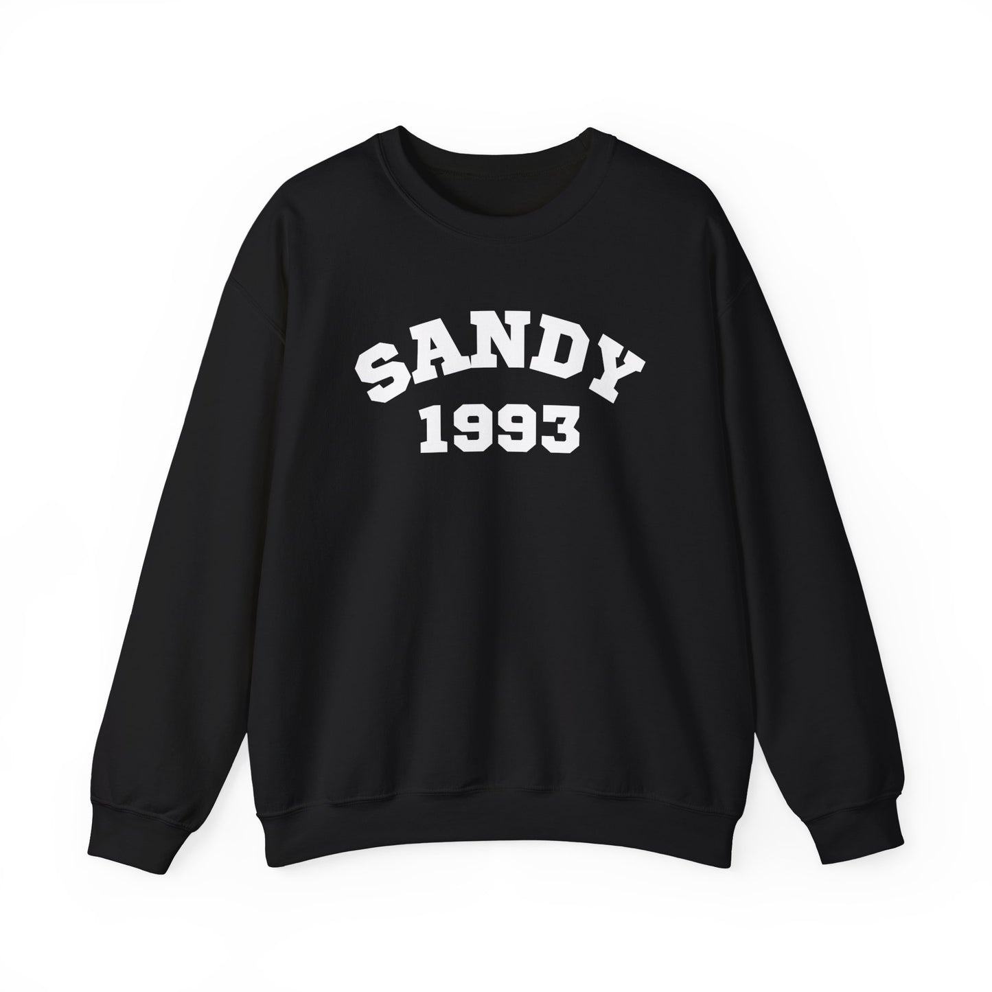 Sandy 1993 Sweatshirt