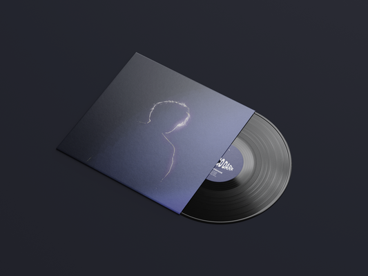 Let’s Go Dark – 12″ Vinyl LP